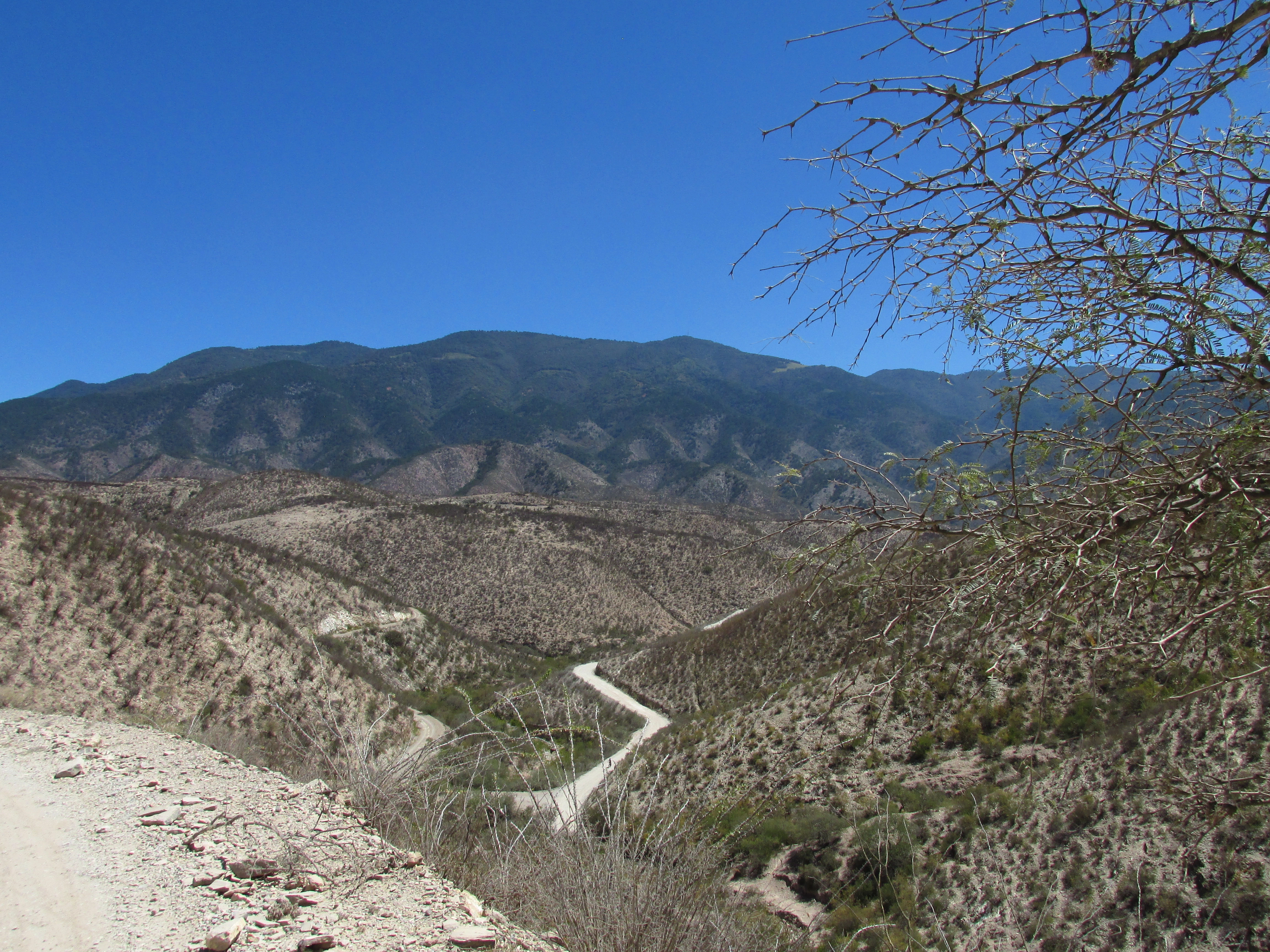 Sierra Gorda